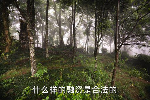 什么是合法的融資，什么是合法融資