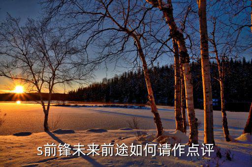 s前鋒未來前途如何請作點(diǎn)評(píng)