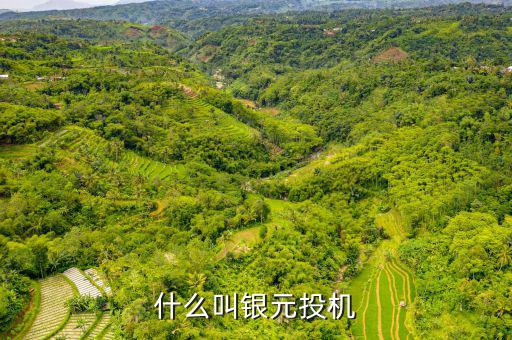 什么叫貨幣投機(jī)，什么是投機(jī)性的貨幣需求