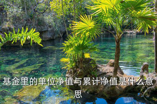 基金凈值和累計凈值是什么，基金里的單位凈值與累計凈值是什么意思