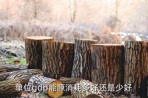 單位GDP越高說明什么，GDP代表著什么