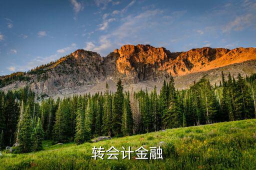 什么是外匯飽和，國(guó)外網(wǎng)友說(shuō)要轉(zhuǎn)外幣給我叫我轉(zhuǎn)給她國(guó)內(nèi)的朋友她國(guó)內(nèi)的朋友銀