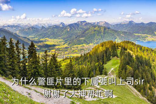 美國人下屬稱呼自己的上司為什么，當(dāng)下屬叫上司的小名或者昵稱的時候能說明什么他們之間沒情況