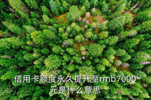 信用卡永久額度是什么意思，信用卡額度永久提升至rmb7000元是什么意思