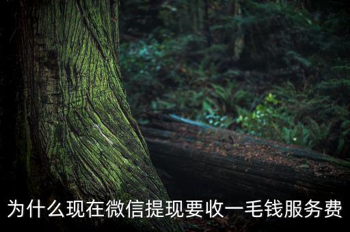微信提現(xiàn)為什么要收費，為什么現(xiàn)在微信提現(xiàn)要收一毛錢服務(wù)費