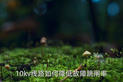 為什么巡視一汽集團，考駕照筆試可以照抄嗎