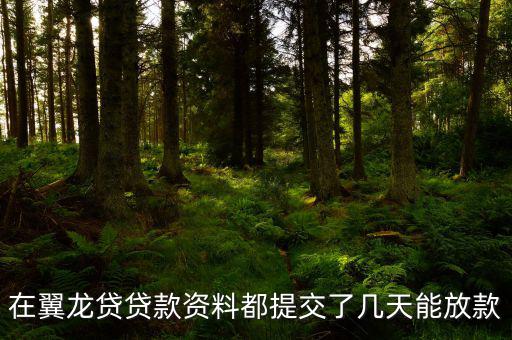 翼龍貸什么時(shí)候放項(xiàng)目，在翼龍貸貸款資料都提交了幾天能放款