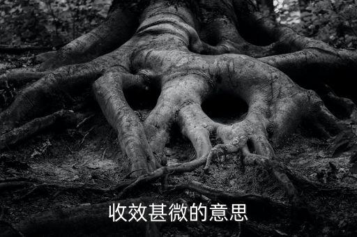 收效甚微的微是什么意思，收效甚微的意思