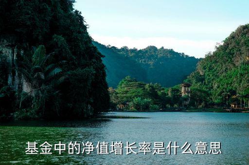 基金增長率是什么意思，在基金里成立以來增長率是什么意思啊如成立以來增長率是80