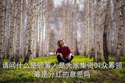什么是領(lǐng)投人，請問什么是領(lǐng)籌人是大家集資叫眾籌領(lǐng)籌是分紅的意思嗎