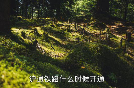 滬臺通什么時候開通，上海到臺州的火車是什么時候開通的