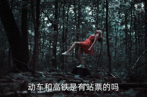 為什么高鐵沒(méi)有站票，為什么高鐵沒(méi)有站票