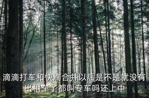 滴滴快滴合并叫什么，滴滴快的合并后叫什么