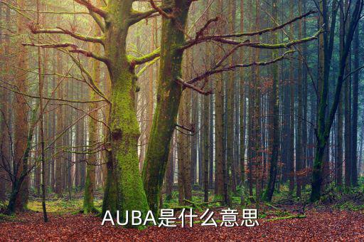 華夏現(xiàn)金增利貨幣a是什么，AUBA是什么意思