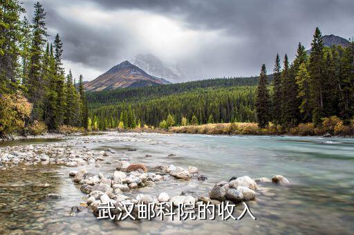 武漢郵科院是做什么的，有武漢郵科院的資料么