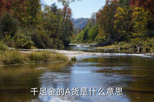 黃金滬幣a是代表什么，千足金的A貨是什么意思