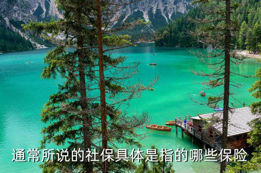 社保包括什么保險，社保具體是指的哪些保險