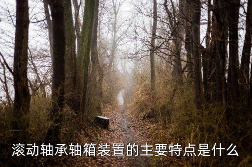 什么是軸箱軸承，什么是軸承