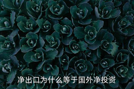 國外凈投資是什么，凈出口為什么等于國外凈投資