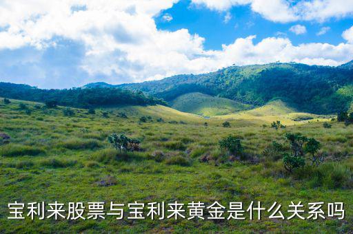 為什么寶利來(lái)大漲，寶利來(lái)會(huì)漲嗎