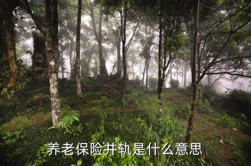 什么是城鄉(xiāng)養(yǎng)老保險并軌，養(yǎng)老保險并軌是什么意思