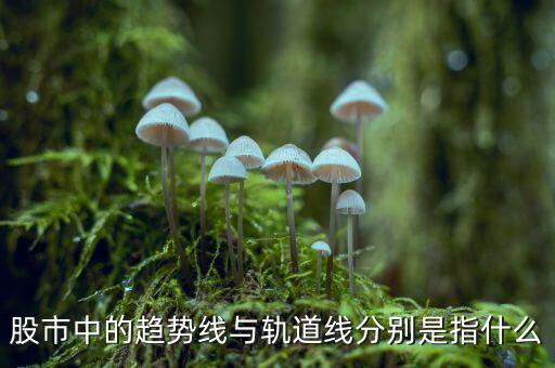 什么是股票軌道線(xiàn)，股票 軌道是什么