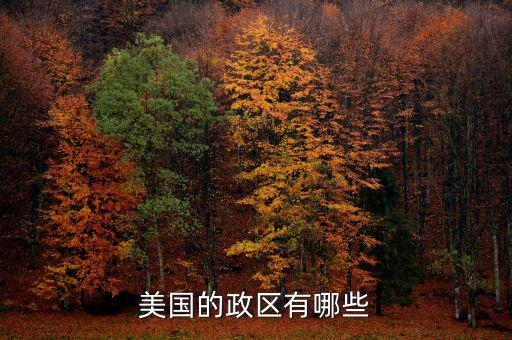美國地方政府自治包括什么，美國的政府體制是什么