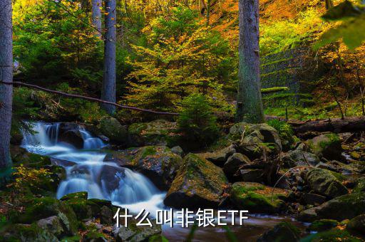 非銀etf是什么意思，易方達(dá)滬深300非銀etf是什么意思