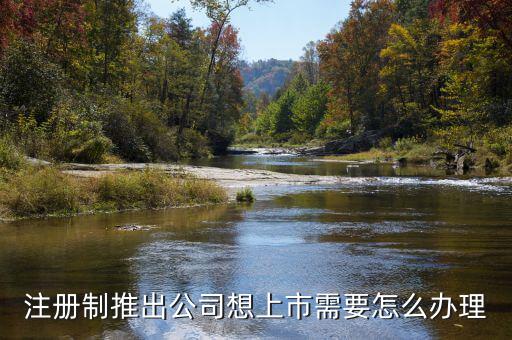 注冊制上市要什么條件，注冊制推出公司想上市需要怎么辦理