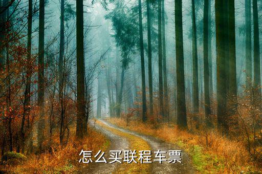 怎么買(mǎi)聯(lián)程車(chē)票