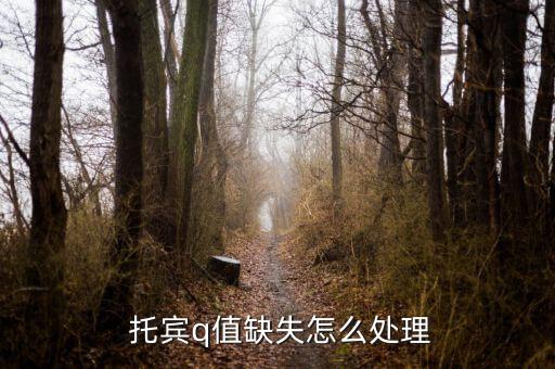 托賓q值怎么計算,托賓q價值或低于預期現金流折現現值
