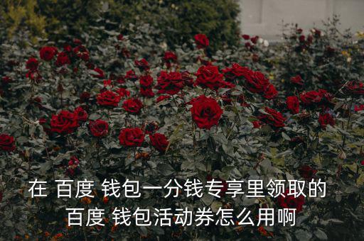 在 百度 錢(qián)包一分錢(qián)專享里領(lǐng)取的 百度 錢(qián)包活動(dòng)券怎么用啊