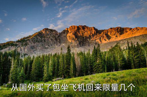 名牌包包怎么入境,國內假貨太多!普拉達最新殺手包上架!