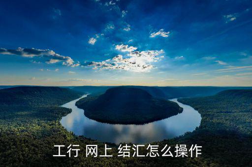  工行 網上 結匯怎么操作