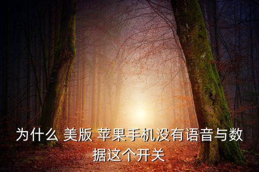 為什么 美版 蘋(píng)果手機(jī)沒(méi)有語(yǔ)音與數(shù)據(jù)這個(gè)開(kāi)關(guān)
