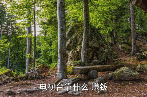 電視臺(tái)靠什么 賺錢(qián)