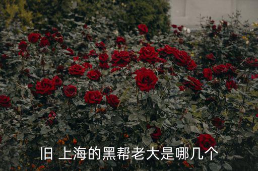 上?；バ沤鹑谠趺礃?上海五國會(huì)議機(jī)制前身是五國集團(tuán)主席