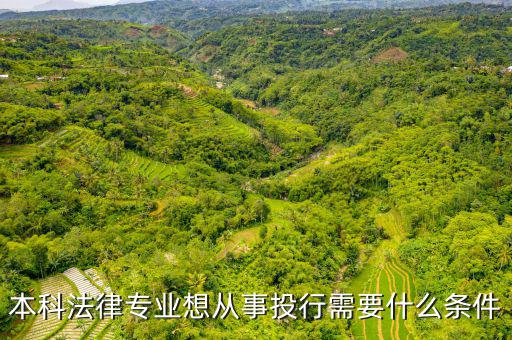 本科法律專(zhuān)業(yè)想從事投行需要什么條件