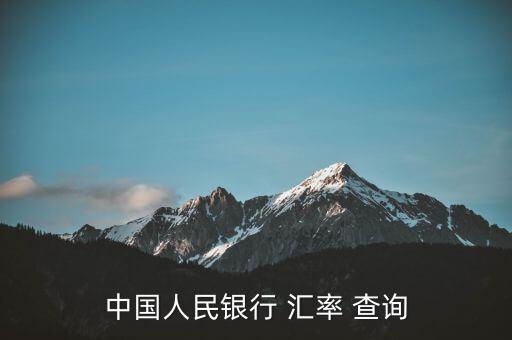 中國(guó)人民銀行 匯率 查詢(xún)