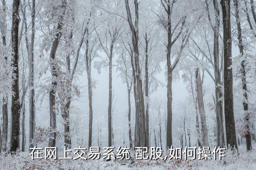 在網上交易系統(tǒng) 配股,如何操作