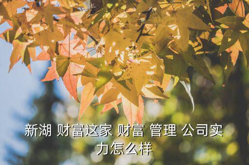 新湖 財富這家 財富 管理 公司實(shí)力怎么樣