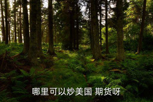 怎么炒美國期貨,期貨交易特點:交易費用由期貨公司提供；