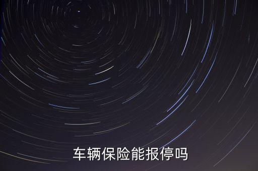  車(chē)輛保險(xiǎn)能報(bào)停嗎