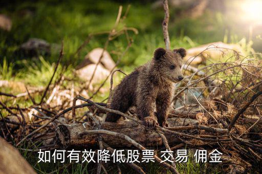 交易傭金怎么調(diào)低,交易傭金標(biāo)準(zhǔn)不同傭金費用不同