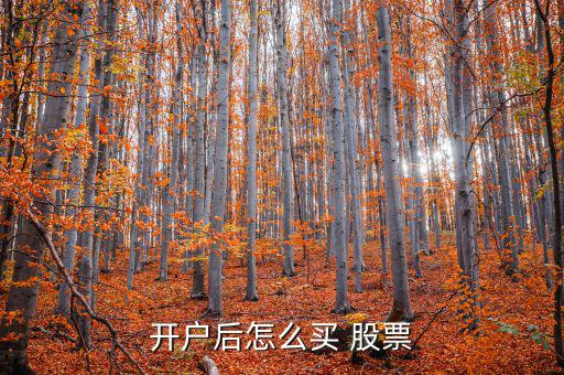 qq股票怎么買,新手買股票須是100股的整數倍