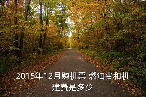 2015飛機(jī)燃油費(fèi)怎么算,我國取消機(jī)場建設(shè)費(fèi)和燃油費(fèi)