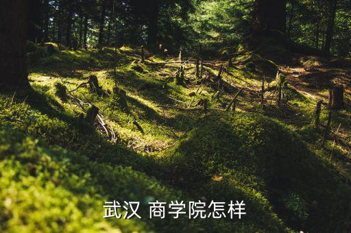 怎么進萬達(dá)商學(xué)院,鐘芳商學(xué)院11個教學(xué)部設(shè)有11個專業(yè)部門