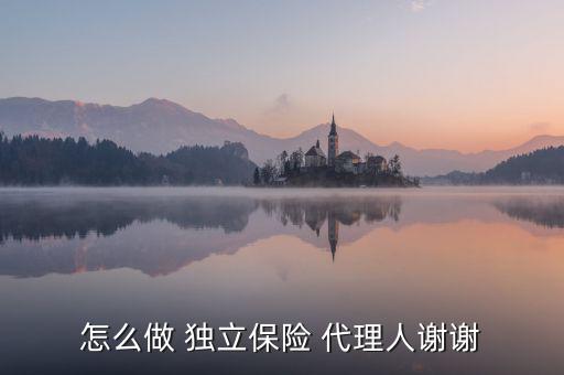 怎么做 獨(dú)立保險 代理人謝謝