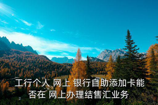  工行個人 網上 銀行自助添加卡能否在 網上辦理結售匯業(yè)務