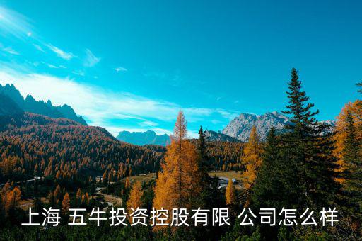 五?；鸸驹趺礃?上海五牛投資控股有限公司處于開業(yè)狀態(tài)